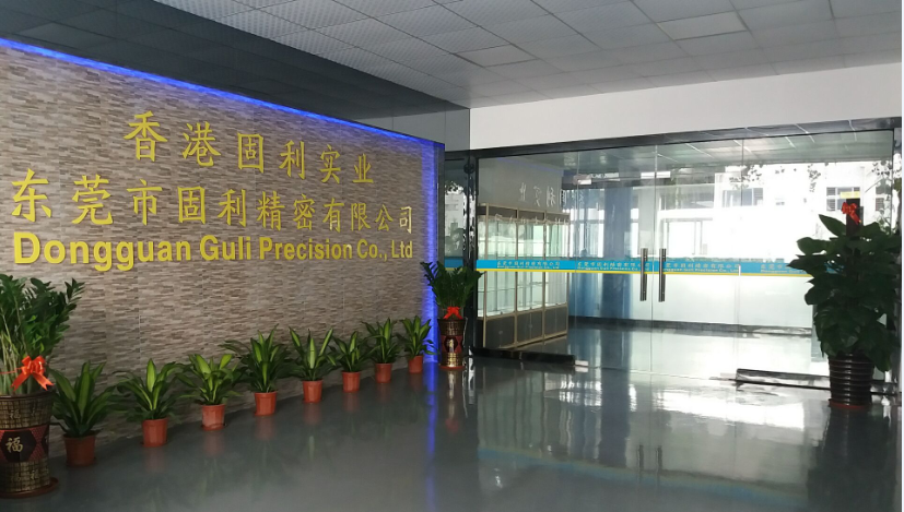 SOLID LEE (GuLi Precision Mould Co., Ltd.)