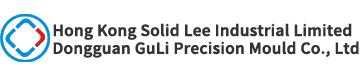 SOLID LEE (GuLi Precision Mould Co., Ltd.)